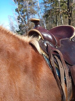 Western - 2