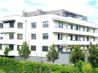 Pronájem novostavby 2+kk, 56 m², Slavkov u Brna - 2