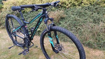 Specialized jett dámské 29 - 2