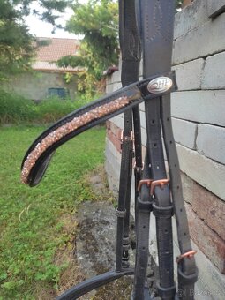 Rosegold uzdečka s lakovaným nánosníkem - 2