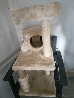 Kočičí škrabadlo - 2