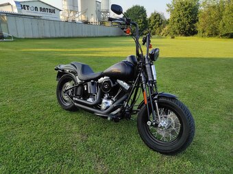 HARLEY DAVIDSON FLSTSB cross bones springer - 2