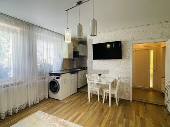 Pronájem bytu 1+kk, 20m2, Velké Bílovice - 2
