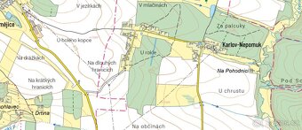 Prodej lesa 6005m2 - 2