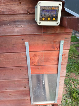Automatická dvířka na kurník Agrofortel - 2