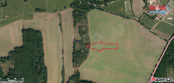 Prodej lesa, 2080 m², Skály - 2