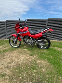 Honda nx 650 dominator - 2
