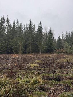 Prodám pozemky v k.ú. Veliny - 2