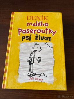 Deníky malého poseroutky - 2
