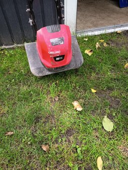 Kultivátor Levita TL 800 - 2