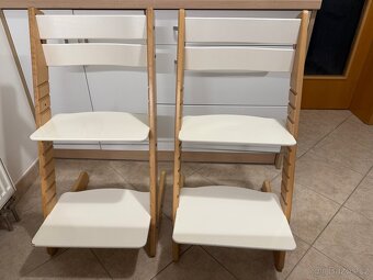 Jitro rostouci zidle - 2