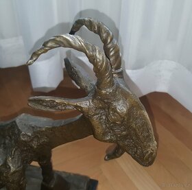 Picasso koza bronz - 2