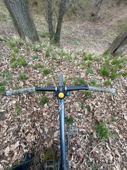 custom CTM dirtking - 2