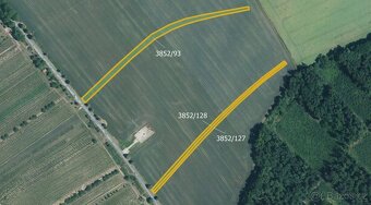 Zemědělská půda, prodej, Starý Poddvorov, Hodonín - 2