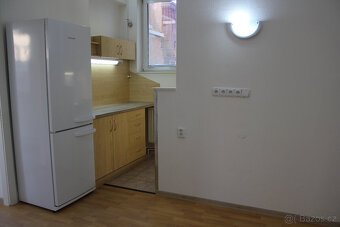 Pronájem 2+kk (45 m2) s vlastní terasou (32 m2) - 2