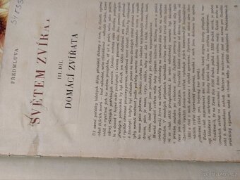 Domácí zvířata - 2