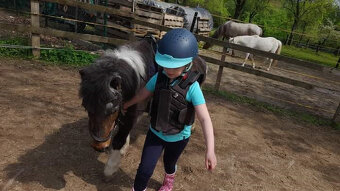 Jezdecký kroužek na koních a ponících - pro děti od 4let - 2
