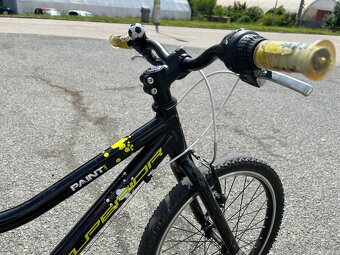 Superior Paint 20 - 2