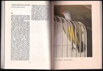 Chováme exorické ptactvo - 2