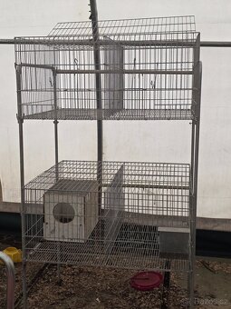 Kotce pro kraliky - 2