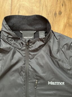 Vesta Marmot - 2