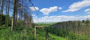 Prodej lesních pozemků - Kožichovice, ev.č. 01181 - 2