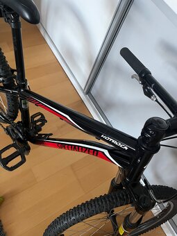 Kolo Specialized 24” - 2