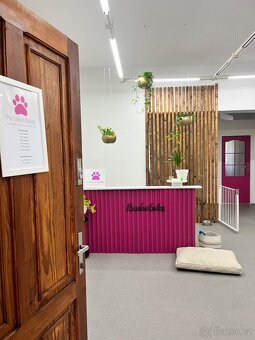 Nově otevřený psí salon v Hradci Králové - 2
