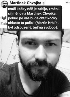kočka Pardubice - 2