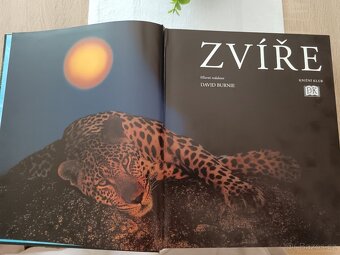 Zvíře - 2