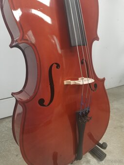 1/2 violončelo - 2