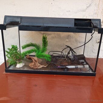 Akvarium - 2