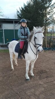 Pony kat.S - 2