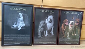 Foto Obrazy Antonín Malý s motivy psů 3 ks - 2