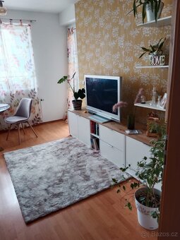 Pronajmu byt 2kk v Plzni - 2