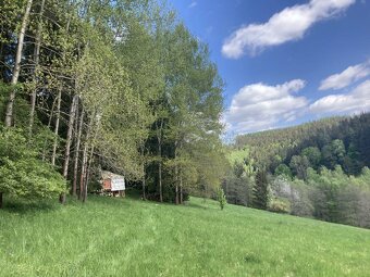 Prodej pozemku - louka, les - 2