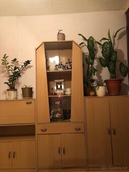 Obývací stěna - 2