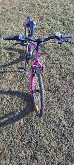 Author Ultima 24" - TOP STAV - 2