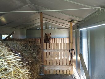 Stáj 6x3m+výběh 14x8m - 2