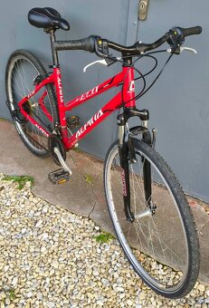 Kolo Alpina - 2