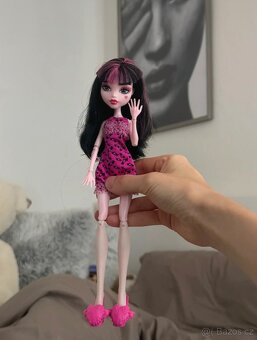 Monster high panenky - 2