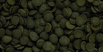 HIKARI MINI ALGAE WAFERS - 2