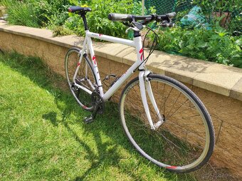 Silniční kolo Specialized, kola 28' - 2