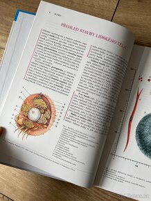 Anatomie 1. díl - 2