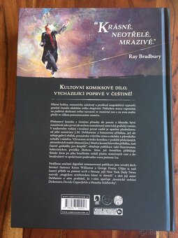 Měsíční stín - J.M. DeMatteis, Jon J. Muth - 2