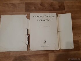 Biologie člověka v obrazech - 2
