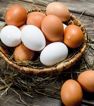 Domácí BIO vejce 🥚 🐓 - 2