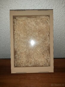 Dárková krabice s průhledem ,velká 33x22x11 NOVÁ - 2