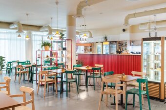 Židle ICHO s područkami - 2