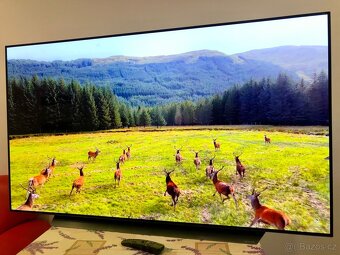 LG OLED 55 BX - 2